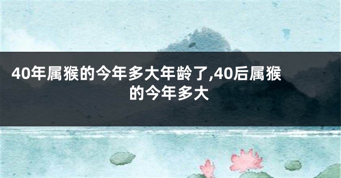 40年属猴的今年多大年龄了,40后属猴的今年多大