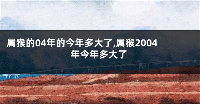 属猴的04年的今年多大了,属猴2004年今年多大了