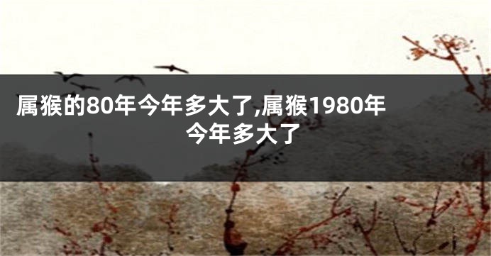 属猴的80年今年多大了,属猴1980年今年多大了