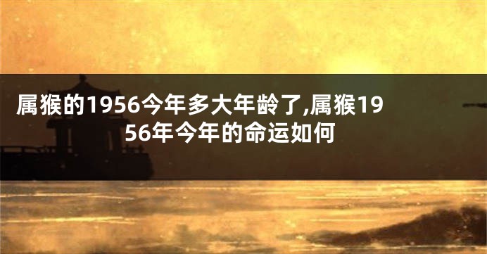 属猴的1956今年多大年龄了,属猴1956年今年的命运如何