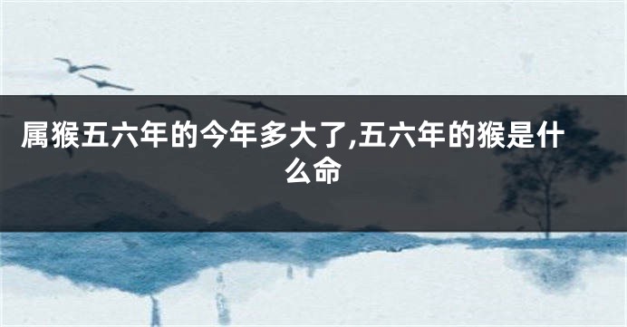 属猴五六年的今年多大了,五六年的猴是什么命