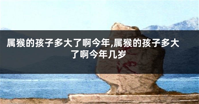 属猴的孩子多大了啊今年,属猴的孩子多大了啊今年几岁