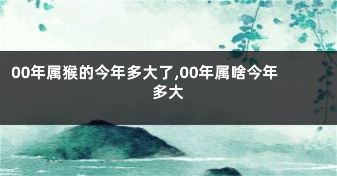 00年属猴的今年多大了,00年属啥今年多大