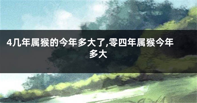 4几年属猴的今年多大了,零四年属猴今年多大