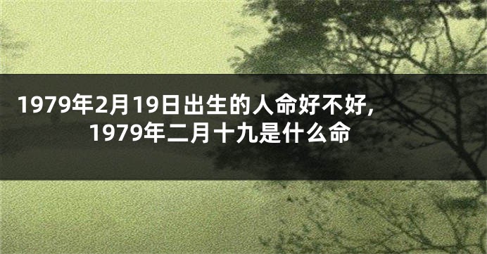 1979年2月19日出生的人命好不好,1979年二月十九是什么命