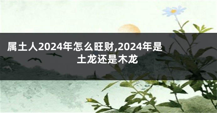 属土人2024年怎么旺财,2024年是土龙还是木龙