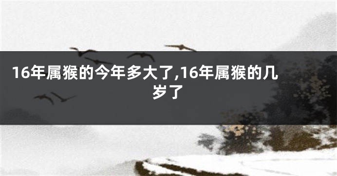 16年属猴的今年多大了,16年属猴的几岁了