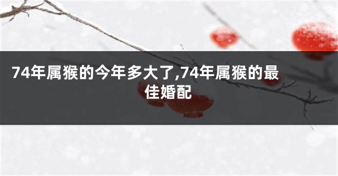 74年属猴的今年多大了,74年属猴的最佳婚配