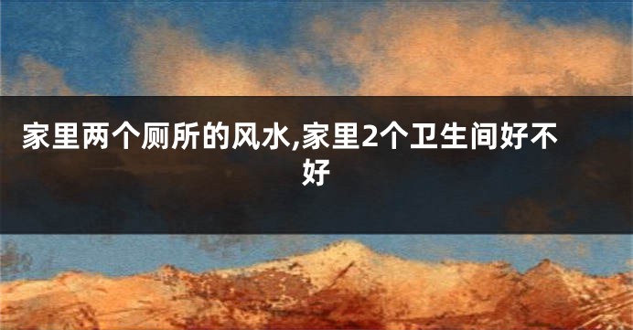 家里两个厕所的风水,家里2个卫生间好不好