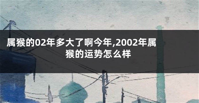 属猴的02年多大了啊今年,2002年属猴的运势怎么样