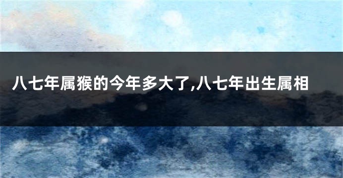 八七年属猴的今年多大了,八七年出生属相