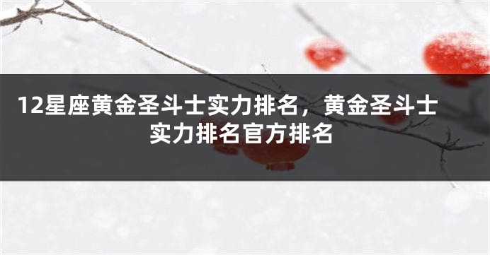 12星座黄金圣斗士实力排名，黄金圣斗士实力排名官方排名