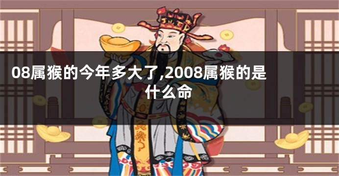 08属猴的今年多大了,2008属猴的是什么命