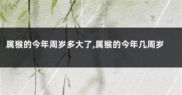 属猴的今年周岁多大了,属猴的今年几周岁