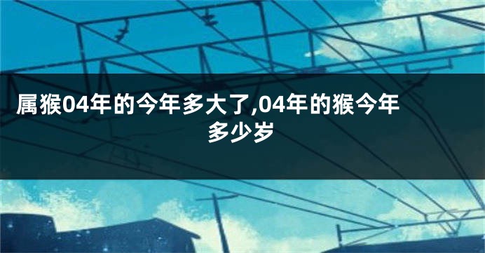 属猴04年的今年多大了,04年的猴今年多少岁