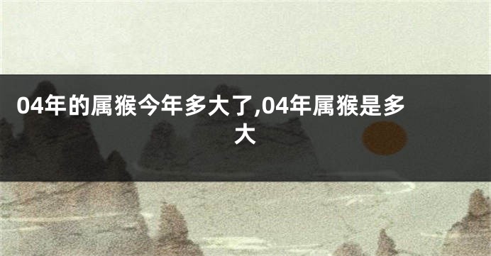 04年的属猴今年多大了,04年属猴是多大