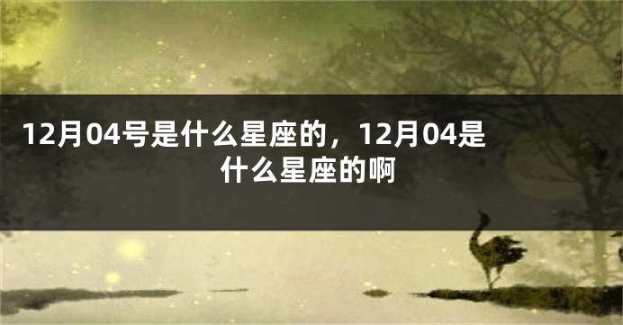 12月04号是什么星座的，12月04是什么星座的啊