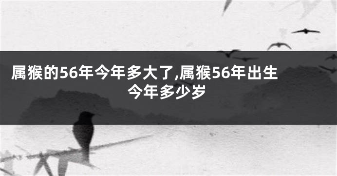 属猴的56年今年多大了,属猴56年出生今年多少岁