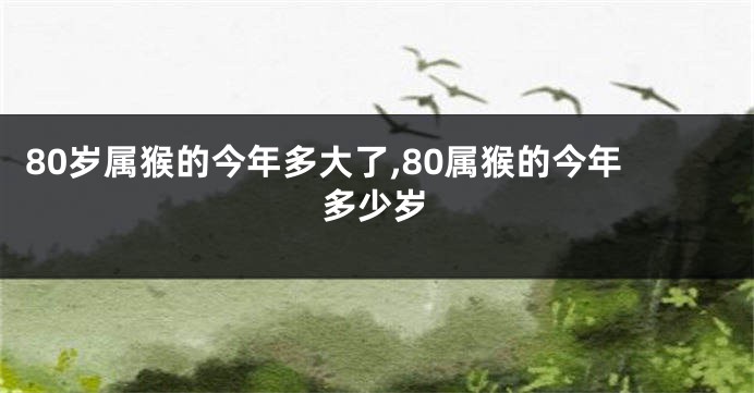 80岁属猴的今年多大了,80属猴的今年多少岁