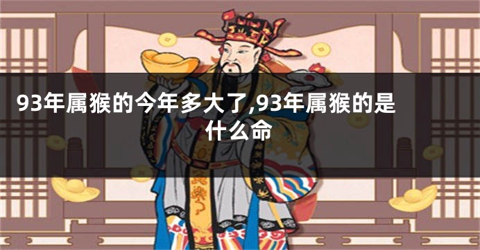 93年属猴的今年多大了,93年属猴的是什么命