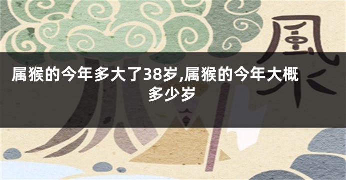 属猴的今年多大了38岁,属猴的今年大概多少岁