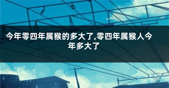 今年零四年属猴的多大了,零四年属猴人今年多大了