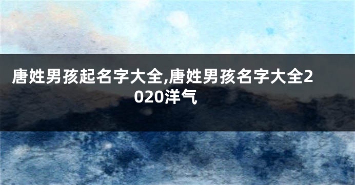 唐姓男孩起名字大全,唐姓男孩名字大全2020洋气