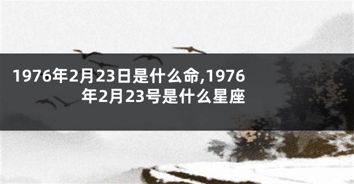 1976年2月23日是什么命,1976年2月23号是什么星座