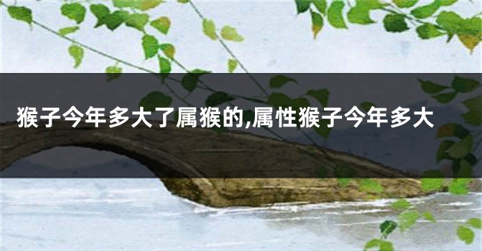 猴子今年多大了属猴的,属性猴子今年多大