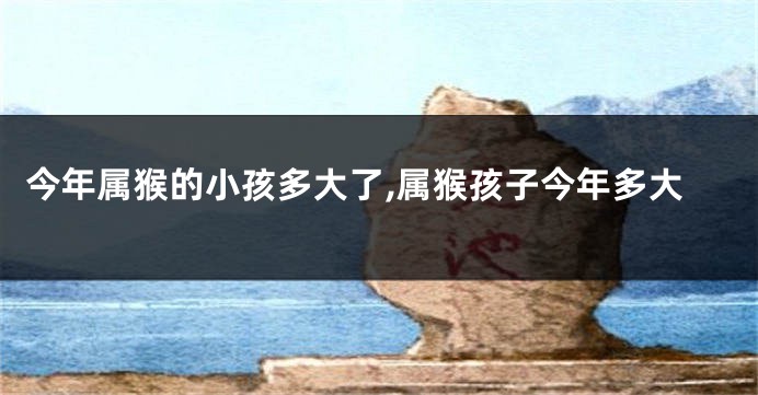 今年属猴的小孩多大了,属猴孩子今年多大