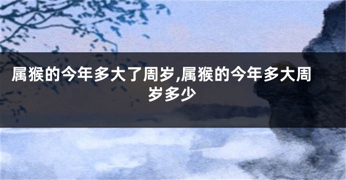 属猴的今年多大了周岁,属猴的今年多大周岁多少