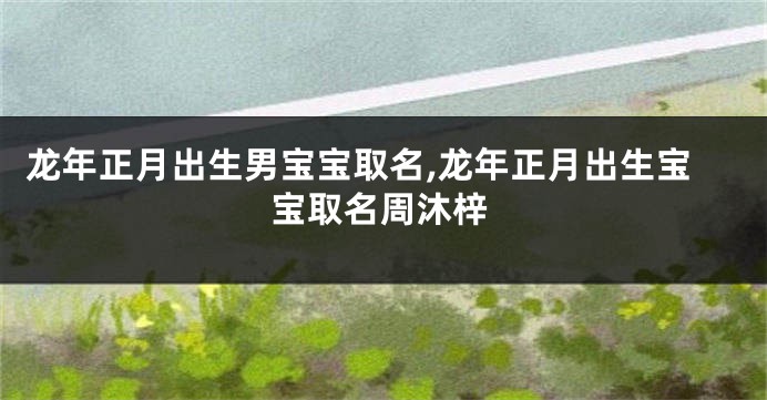 龙年正月出生男宝宝取名,龙年正月出生宝宝取名周沐梓