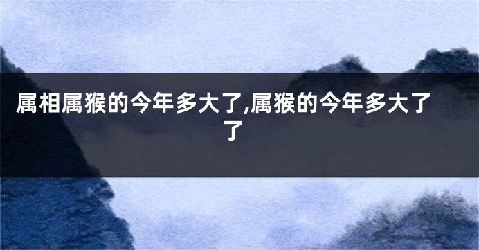 属相属猴的今年多大了,属猴的今年多大了 了