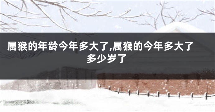 属猴的年龄今年多大了,属猴的今年多大了多少岁了