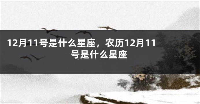 12月11号是什么星座，农历12月11号是什么星座