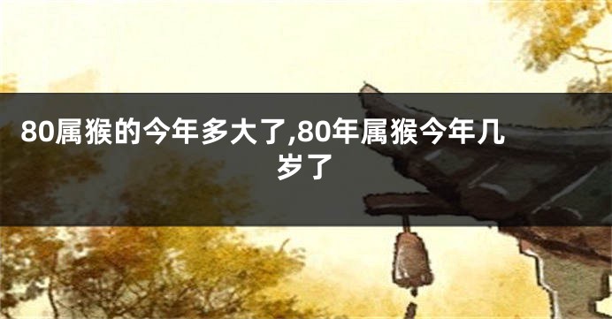 80属猴的今年多大了,80年属猴今年几岁了