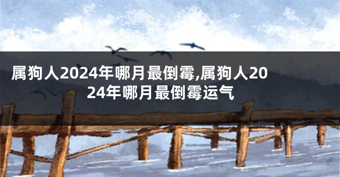 属狗人2024年哪月最倒霉,属狗人2024年哪月最倒霉运气