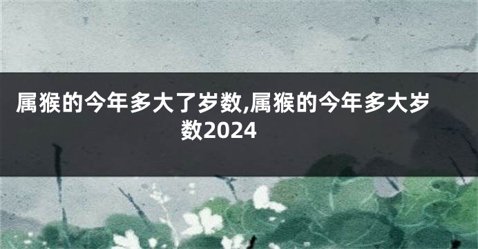 属猴的今年多大了岁数,属猴的今年多大岁数2024