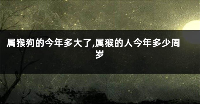 属猴狗的今年多大了,属猴的人今年多少周岁