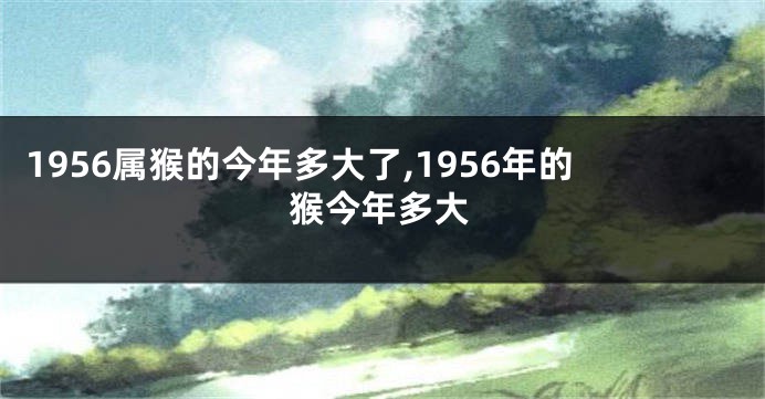 1956属猴的今年多大了,1956年的猴今年多大