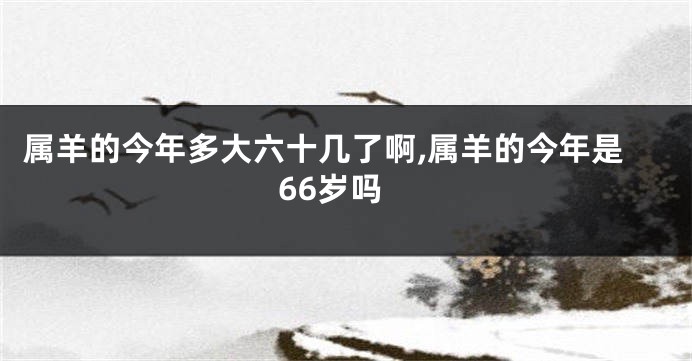 属羊的今年多大六十几了啊,属羊的今年是66岁吗