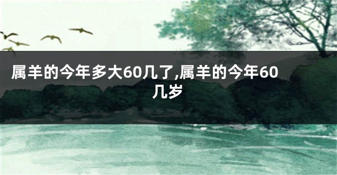 属羊的今年多大60几了,属羊的今年60几岁