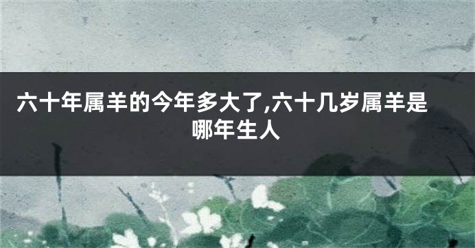 六十年属羊的今年多大了,六十几岁属羊是哪年生人