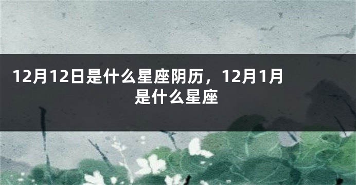 12月12日是什么星座阴历，12月1月是什么星座