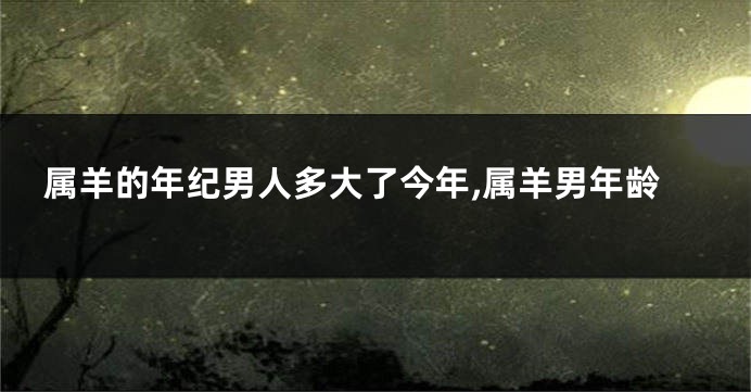 属羊的年纪男人多大了今年,属羊男年龄