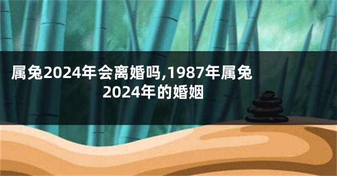 属兔2024年会离婚吗,1987年属兔2024年的婚姻