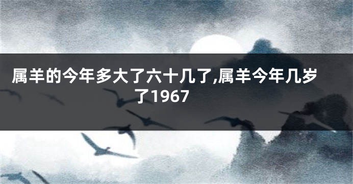 属羊的今年多大了六十几了,属羊今年几岁了1967