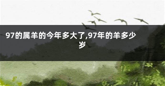 97的属羊的今年多大了,97年的羊多少岁