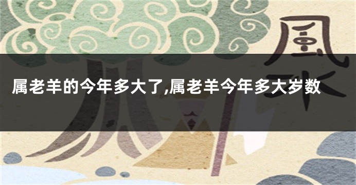 属老羊的今年多大了,属老羊今年多大岁数