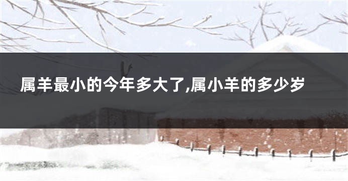 属羊最小的今年多大了,属小羊的多少岁